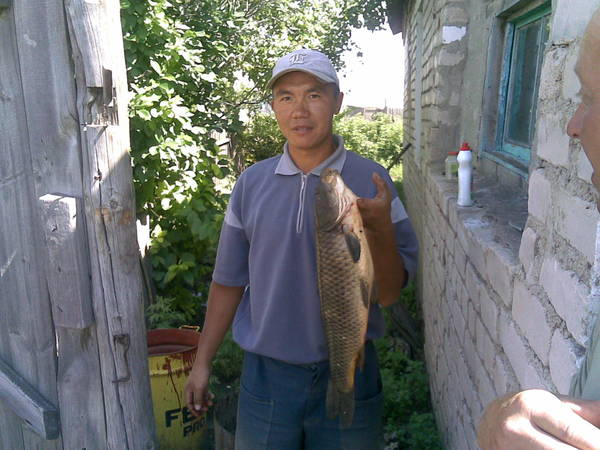 Булат Мусин