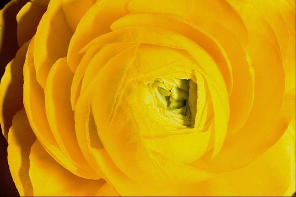 Айзиряк Маматова