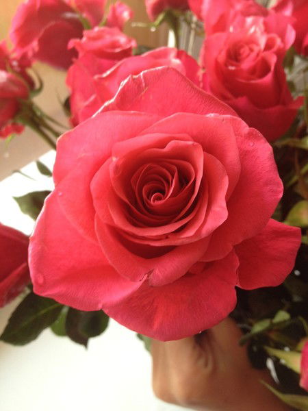 Анастасия Eeee