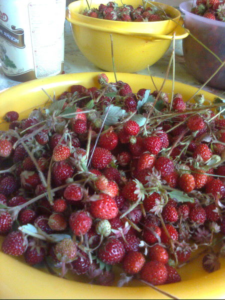 Ольга Тропина