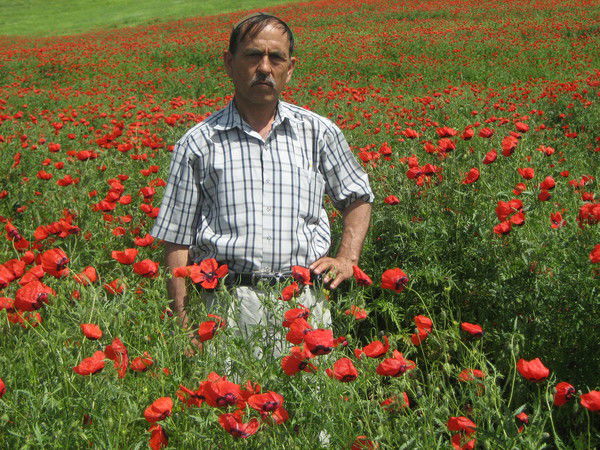 Шавкат Мухамедов