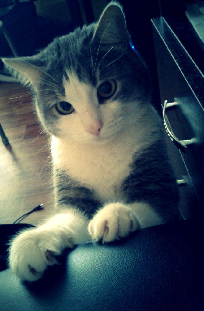 ♥даша_ Карпова♥