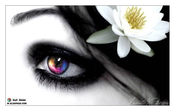 Светлана Леванова