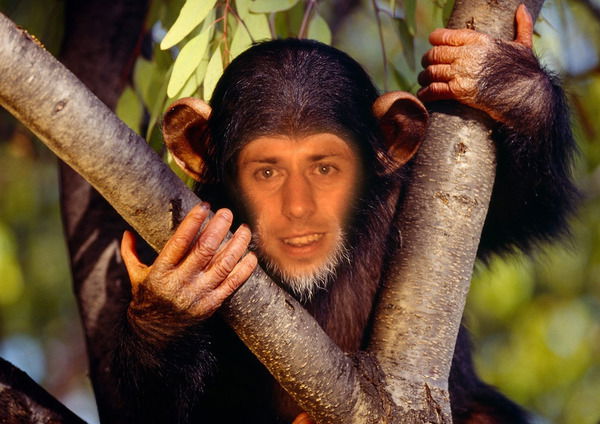 Юрий Северин