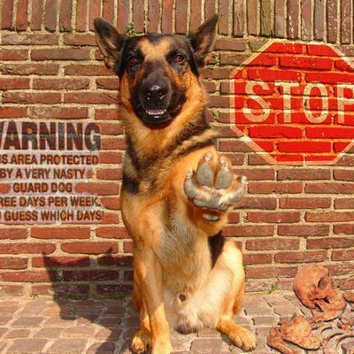 Андрей Щербаков