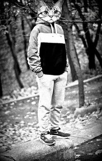 Максим Кузнецов