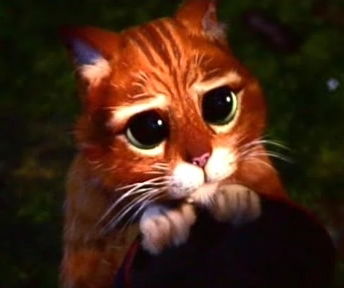 Сергей Костицын