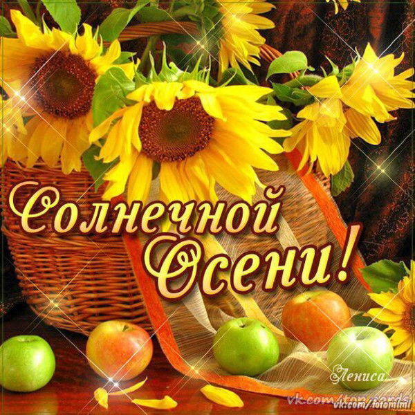 Анастасия Кошкина