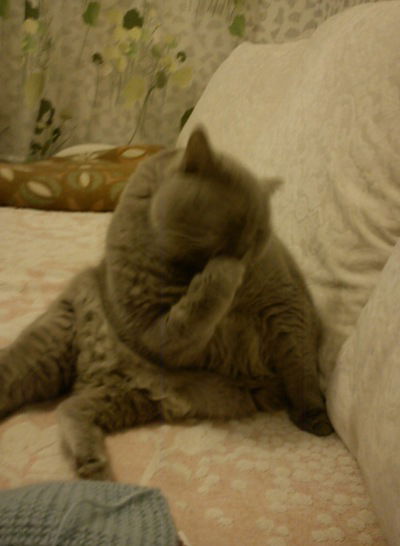 Елена Овсянникова