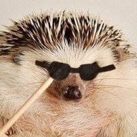 Паха Макеев