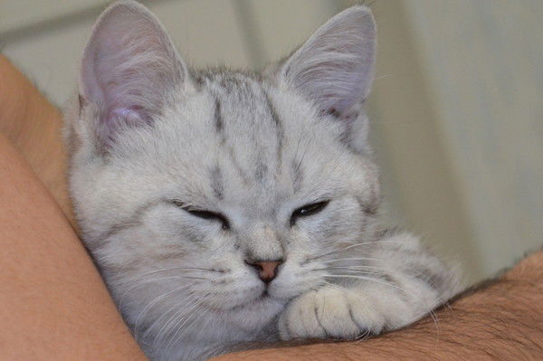 Школа 57 Бух