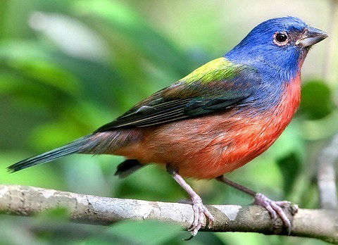 Юля Овсянникова