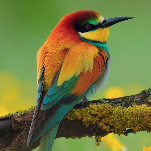 Людмила Мандрыгина