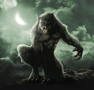 Станислав Волков