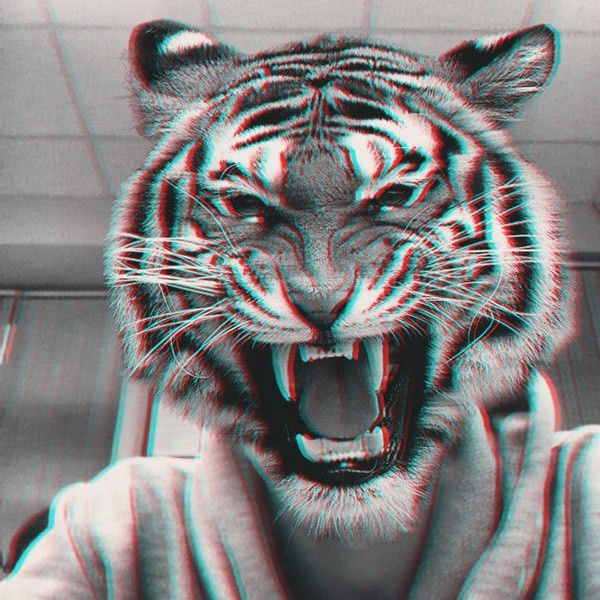 Дмитрий Калашников