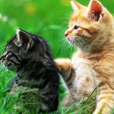 Юра Перевозчиков