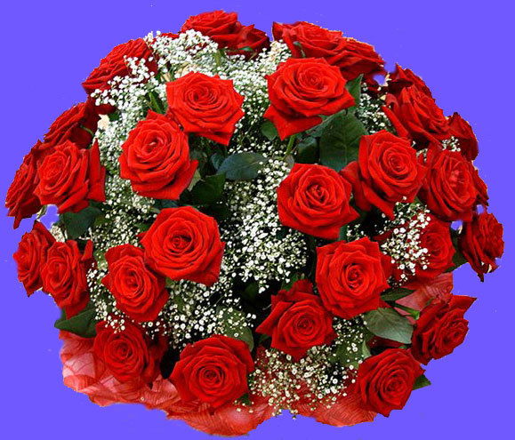 Ирина Прокопенко