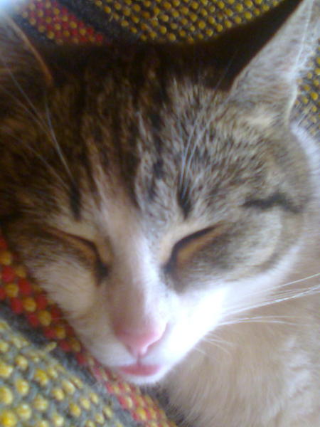 Марат Люсьен