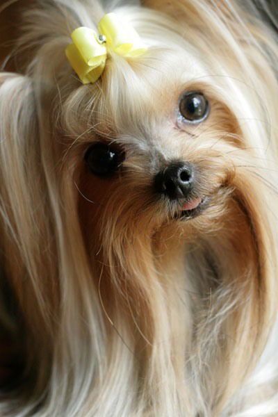 Юлия Орлова