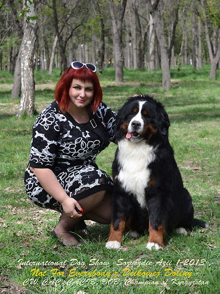 Юлия Дорохина