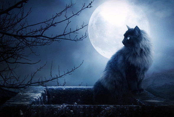 Наталья Кочергина