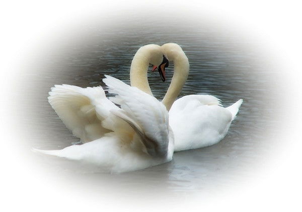 Сандугаш Саменова