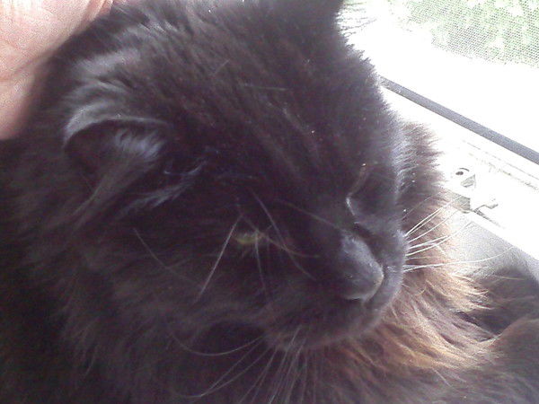 Светлана Хацкелевич