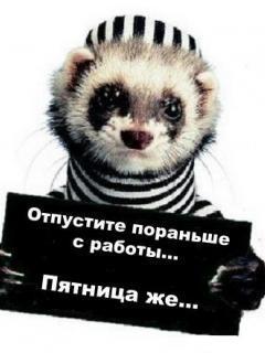 Жасик Жанауов