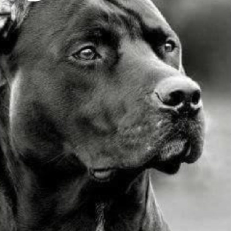 Александр Юлия