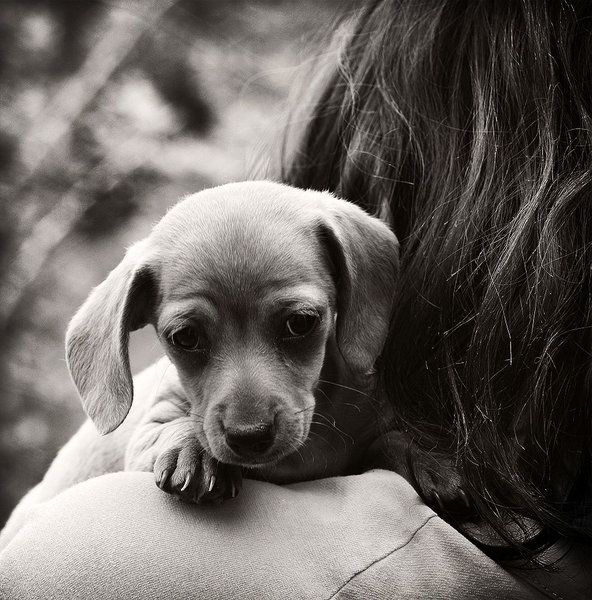 Маргарита Пеннер