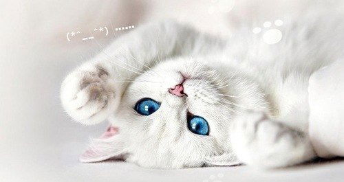 Екатерина Матвеева