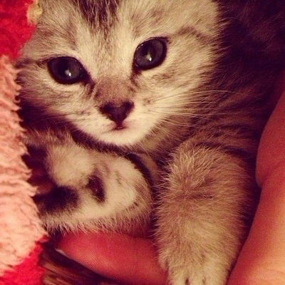 Фотобатл Школа