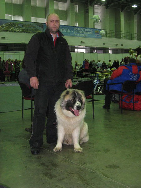 Сергей Шишкин