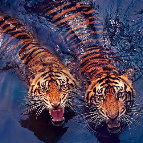 Алан Бытдаев