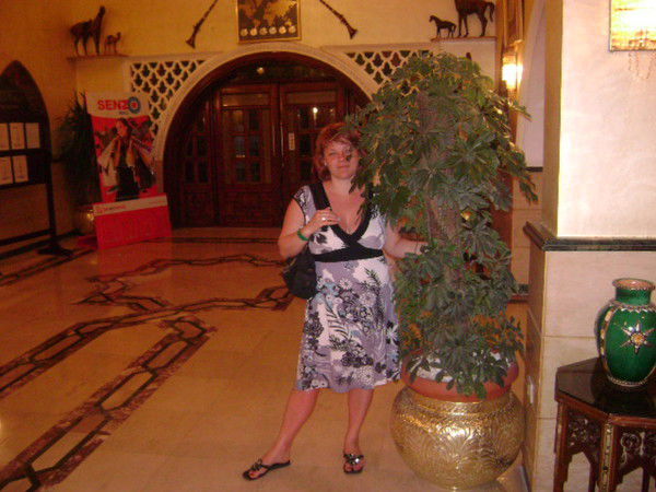 Марина Агаева