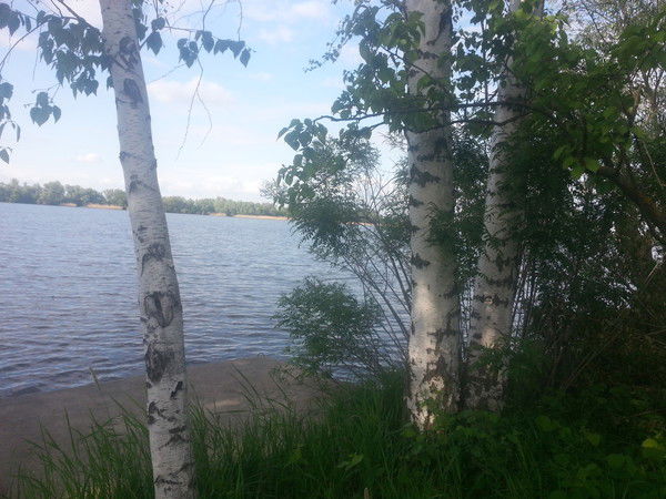 Виктор Федосов