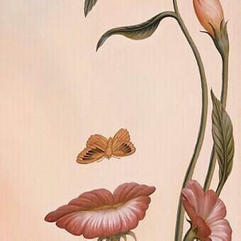 Айсалкын Токтогулова