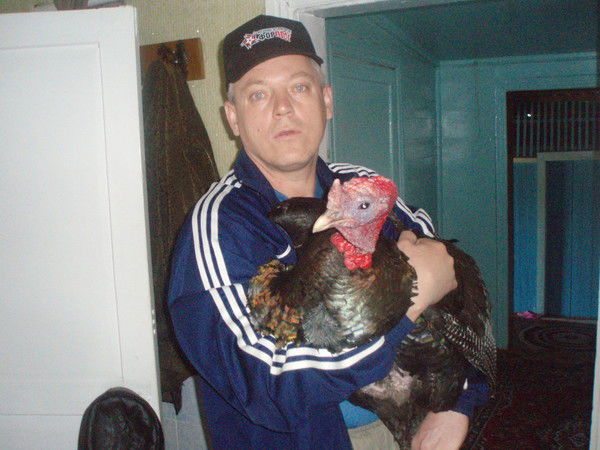 Александр Вегера