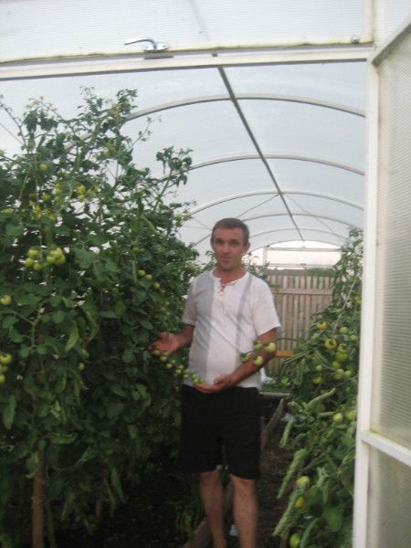 Владимир Баданов