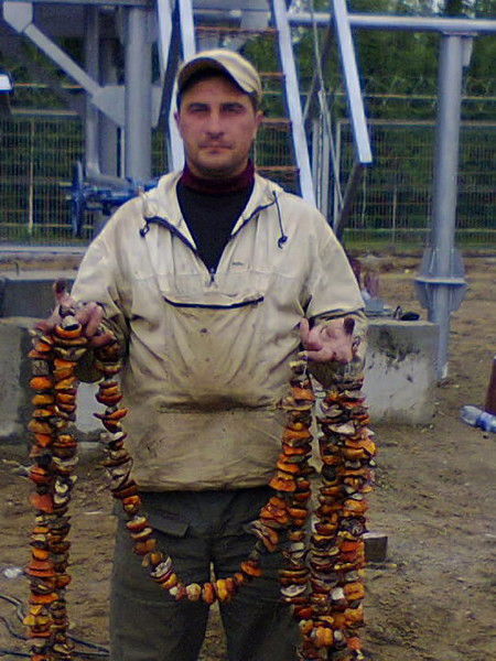 Дмитрий Баханков