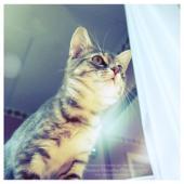 Катя Завальнюк