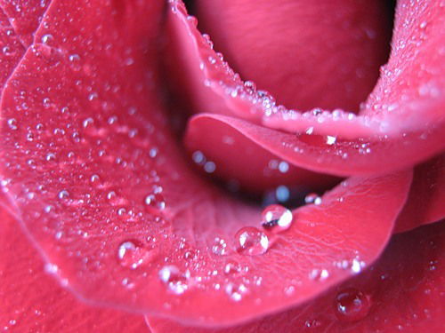 Вика Милова