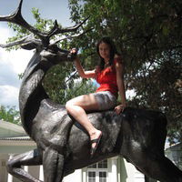 Елена Шевченко