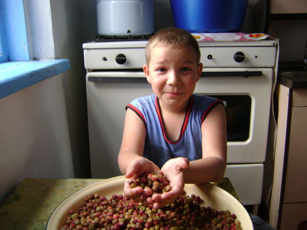 Вадим Фицек