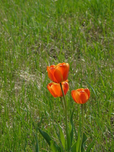 Татьяна Савина