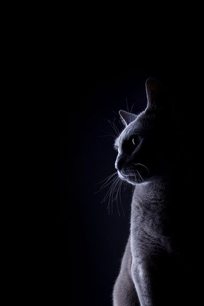 Татьянка Казанова