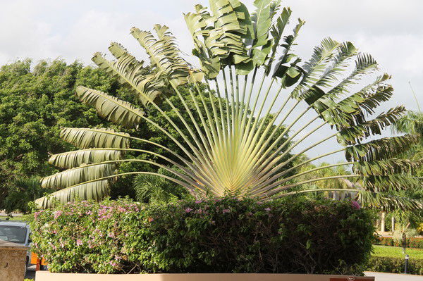 Татьяна Ильичева