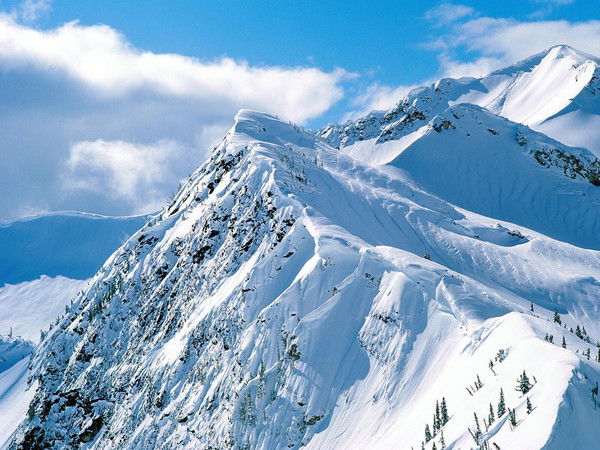 Елена Панишева