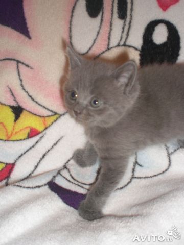 Наталья Жарникова