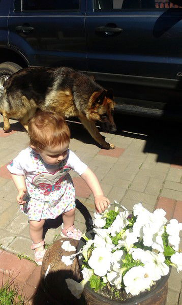 Мария Брынза